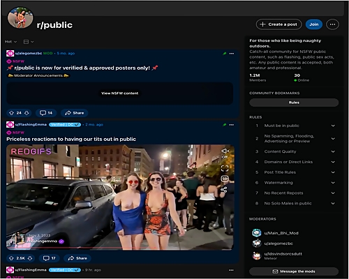 Public Site Review ScreenShot