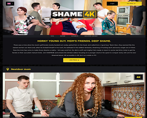 shame4k Site Review Screenshot
