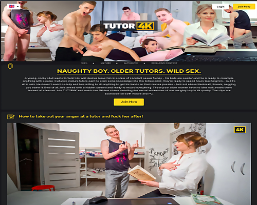 Tutor4k Site Review Screenshot